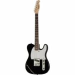 Harley Benton TE-20 BK Standard Series Review: Technical details