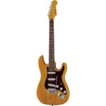 Harley Benton ST-90SA Swamp Ash DLX Series Review: Unbiased look