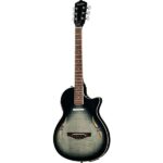 Harley Benton Nashville-Steel Review: Full specs & analysis