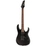 Ibanez RG421EX-BKF Review: The bottom line