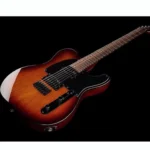 ESP LTD TE-200 TSB Review: Is it worth it?