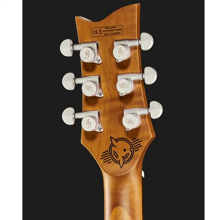 Harley Benton Agufish Custom Signature BT PB Review: The bottom line