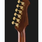 Harley Benton Guitar MAX Fusion Signature PF Review: Still worth buying?