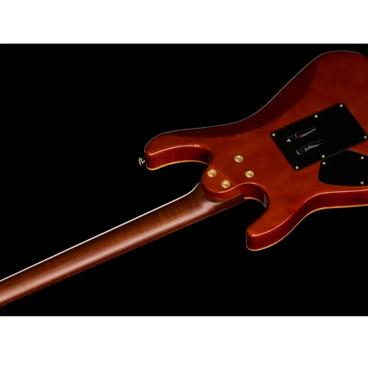 Harley Benton Guitar MAX Fusion Signature PF Review: Still worth buying?