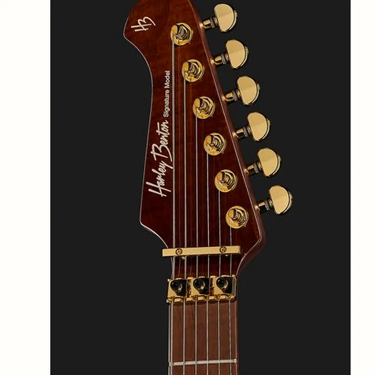 Harley Benton Guitar MAX Fusion Signature PF Review: Still worth buying?
