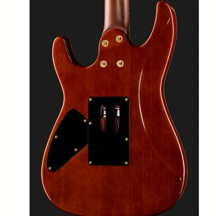 Harley Benton Guitar MAX Fusion Signature PF Review: Still worth buying?