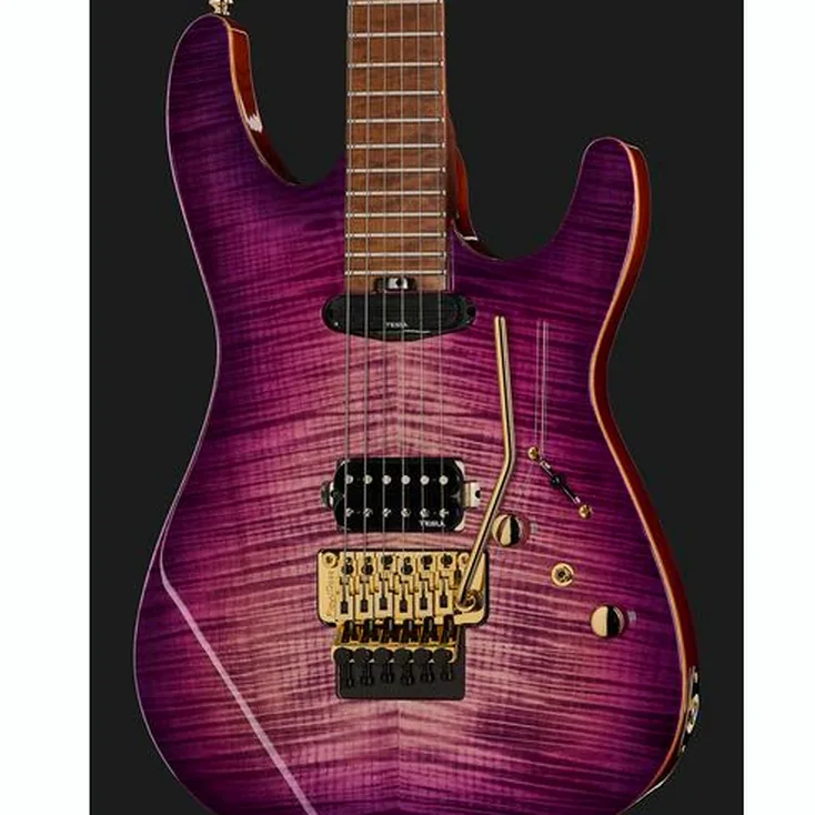 Harley Benton Guitar MAX Fusion Signature PF Review: Still worth buying?