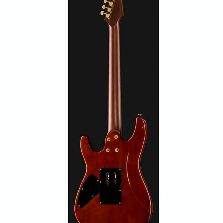 Harley Benton Guitar MAX Fusion Signature PF Review: Still worth buying?
