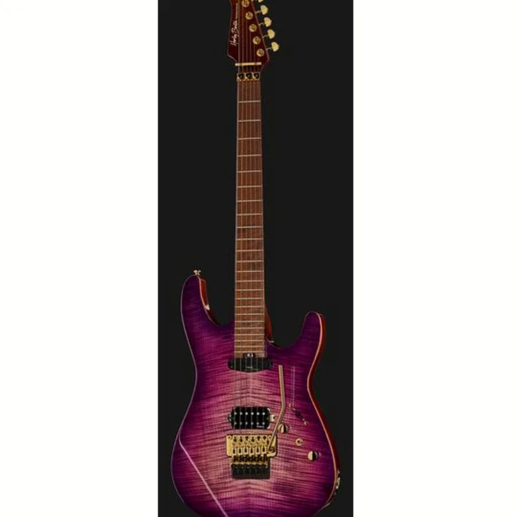Harley Benton Guitar MAX Fusion Signature PF Review: Still worth buying?