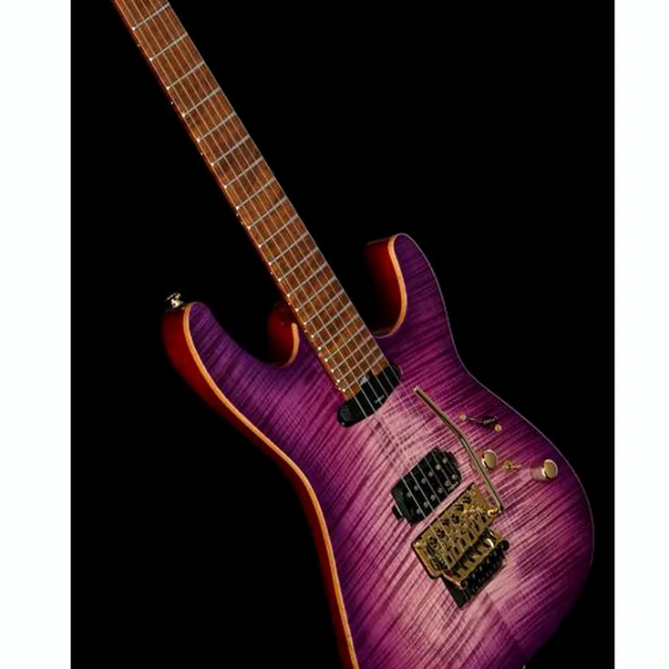 Harley Benton Guitar MAX Fusion Signature PF Review: Still worth buying?