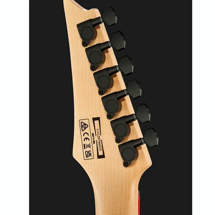 Ibanez GRG131DX-BKF Review: Is it right for you?
