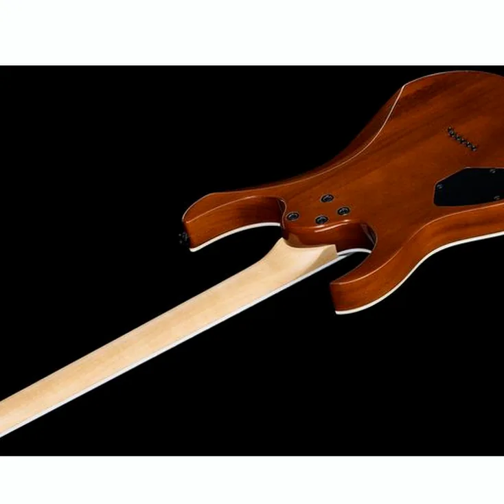 Ibanez GRGR221PA-AQB Review: In-depth breakdown
