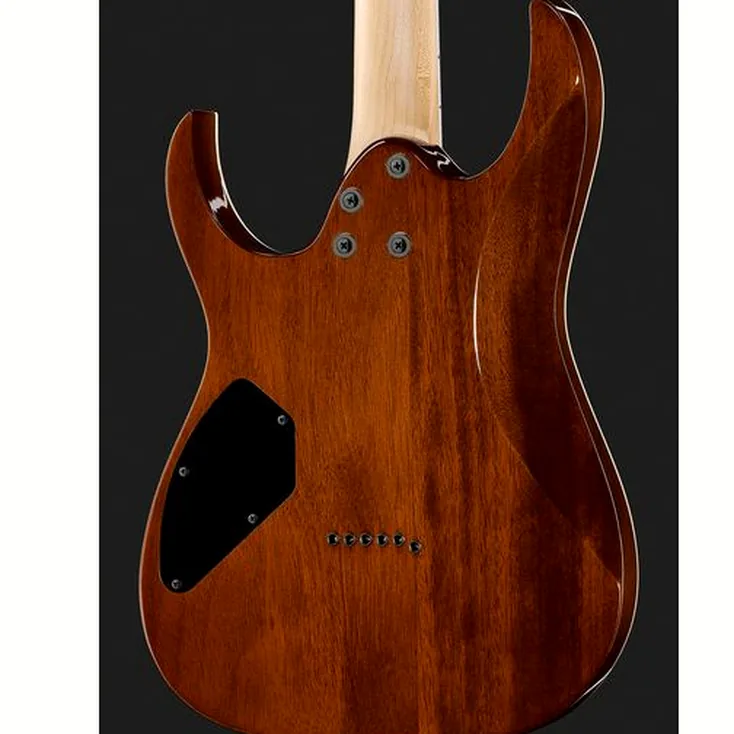 Ibanez GRGR221PA-AQB Review: In-depth breakdown