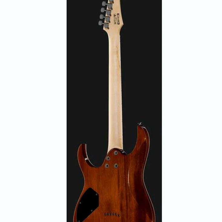 Ibanez GRGR221PA-AQB Review: In-depth breakdown